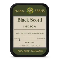 Black Scotti | 1/2 Gram Joints | 7pk
